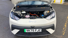 BYD Dolphin Surf 65kW Boost 43kWh 5dr Auto Electric Hatchback